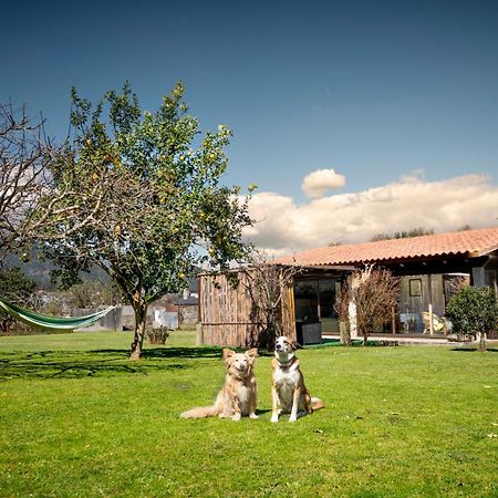 Vila Casa Barros Tui Exteriér fotografie